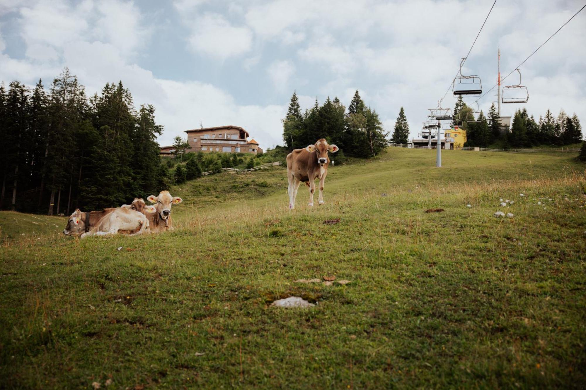 Chalet G12 - Mountain Luxury Apartments Seefeld in Tirol Esterno foto